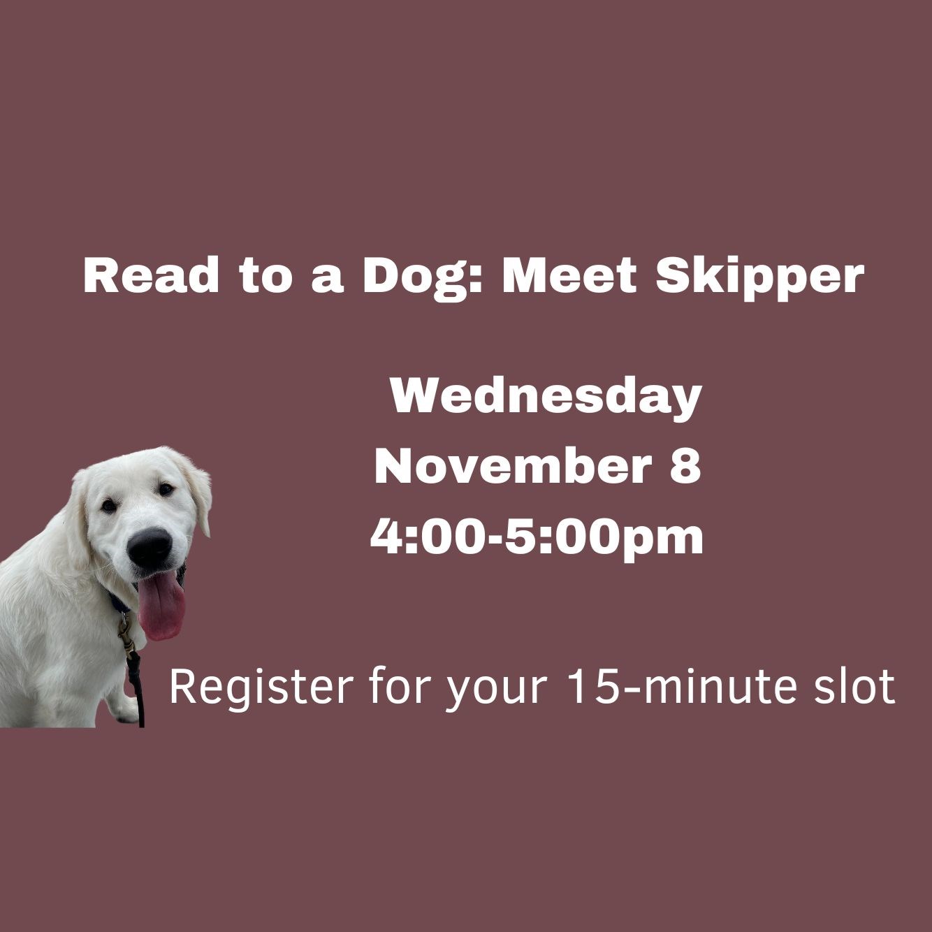 Child Reading a Book Outdoors in the Fall