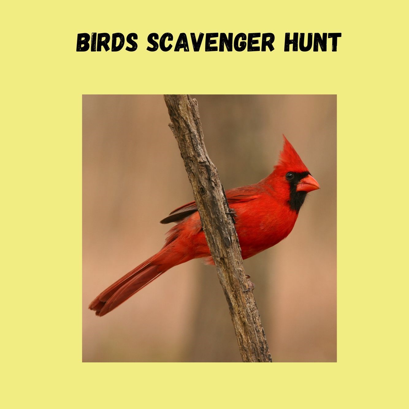 Child Reading a Book Outdoors in the Fall