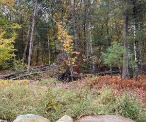 White House by the Sea