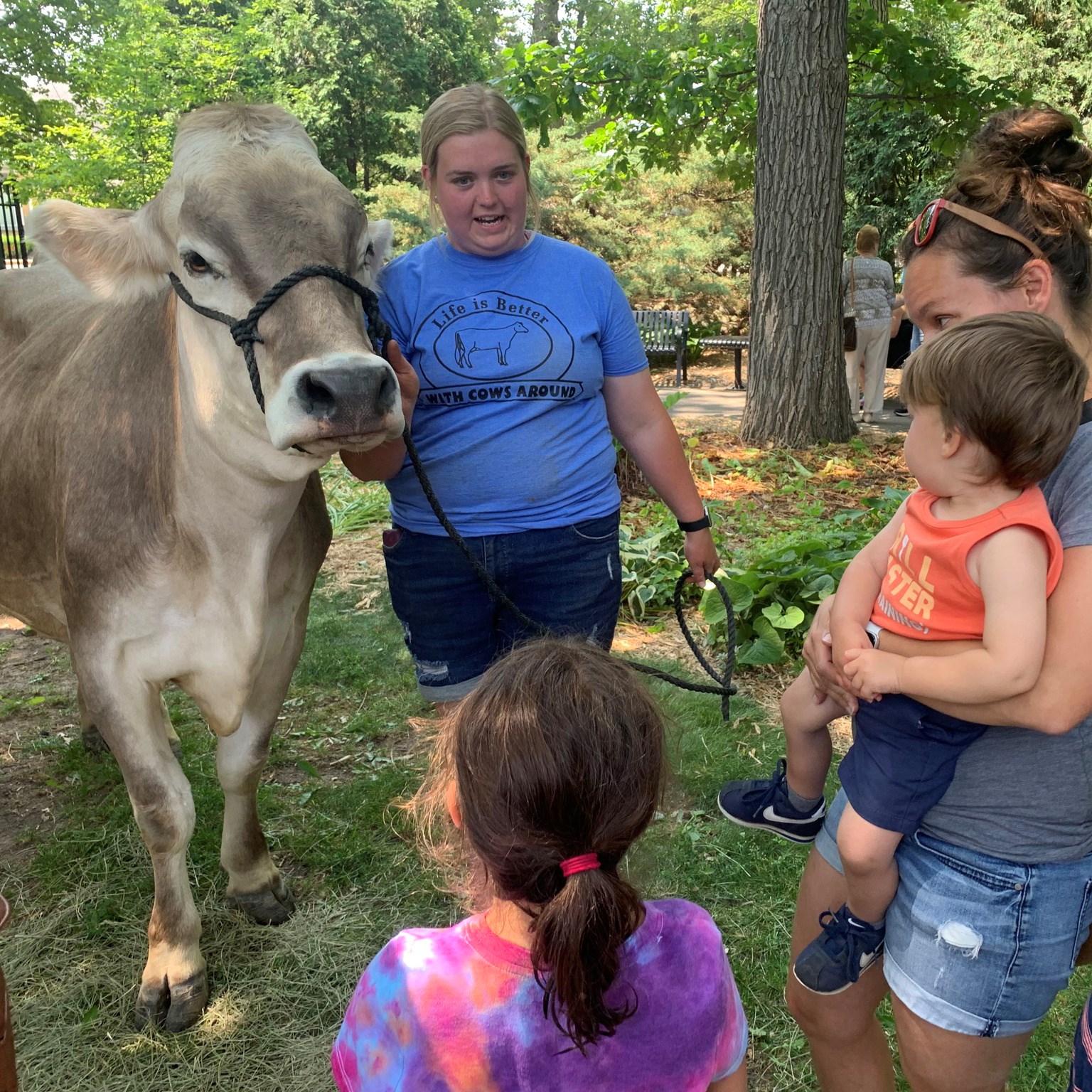 Photo of a person holding a cow outdoors with a parent and two children looking at it.