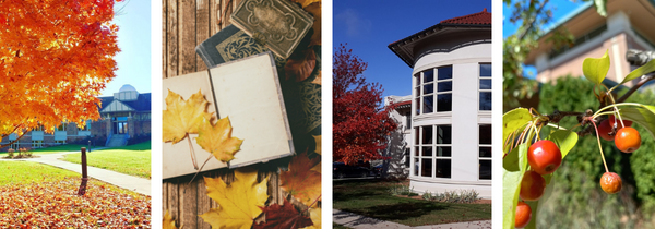 Email header image with photos of fall scenes and a library exterior.