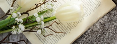 white tulip and other spring flowers laying across the pages of an open book.