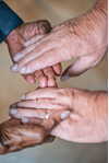 closeup photo showing two older people  holding each others' hands.