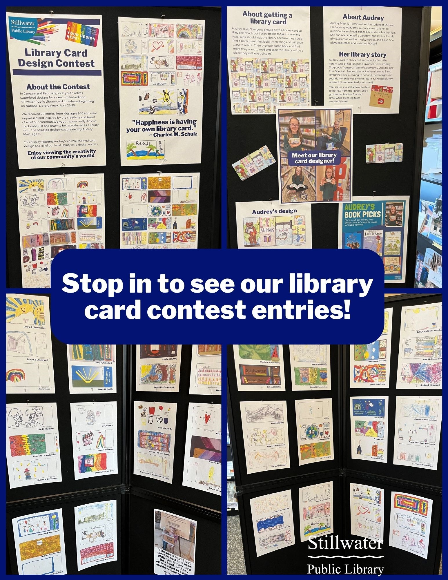 Library Card Contest Entry Display