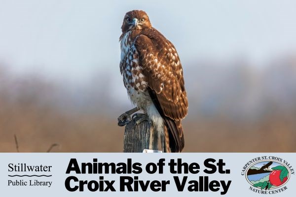 Animals of the St. Croix River Valley