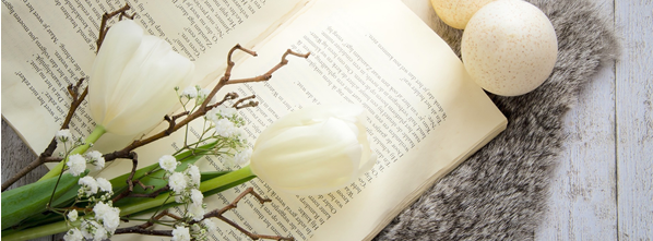 open book with white flowers and thin branches on top