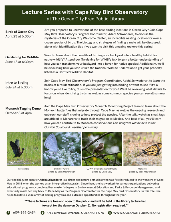 Lecture Series with Cape May Bird Observatory at The Ocean City Free Public Library. Birds of Ocean City: April 23rd at 6pm in the Chris Maloney Lecture Hall. 