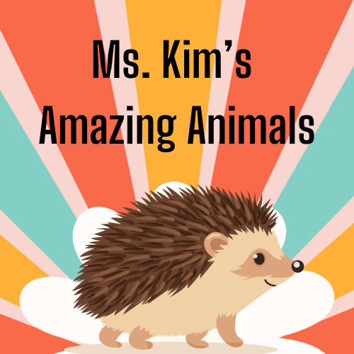 Stories by the Beach