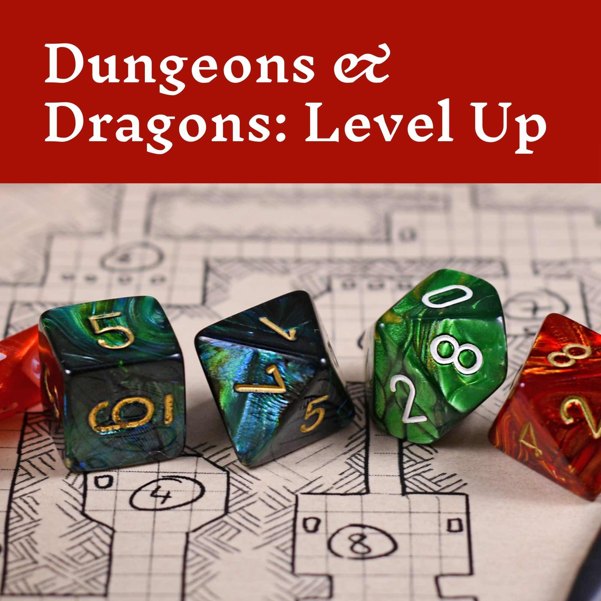 Dungeons & Dragons: Level Up