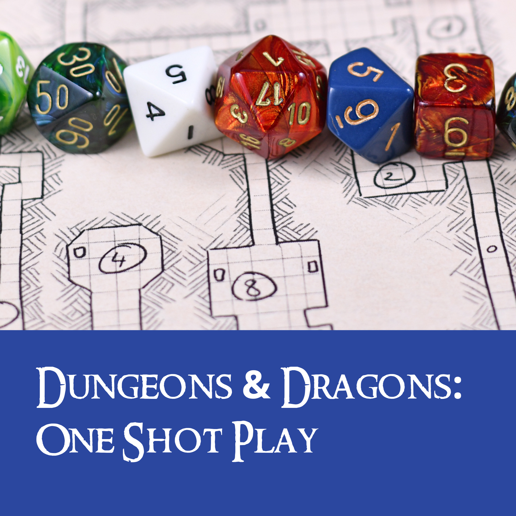 Dungeons & Dragons: One Shot Play