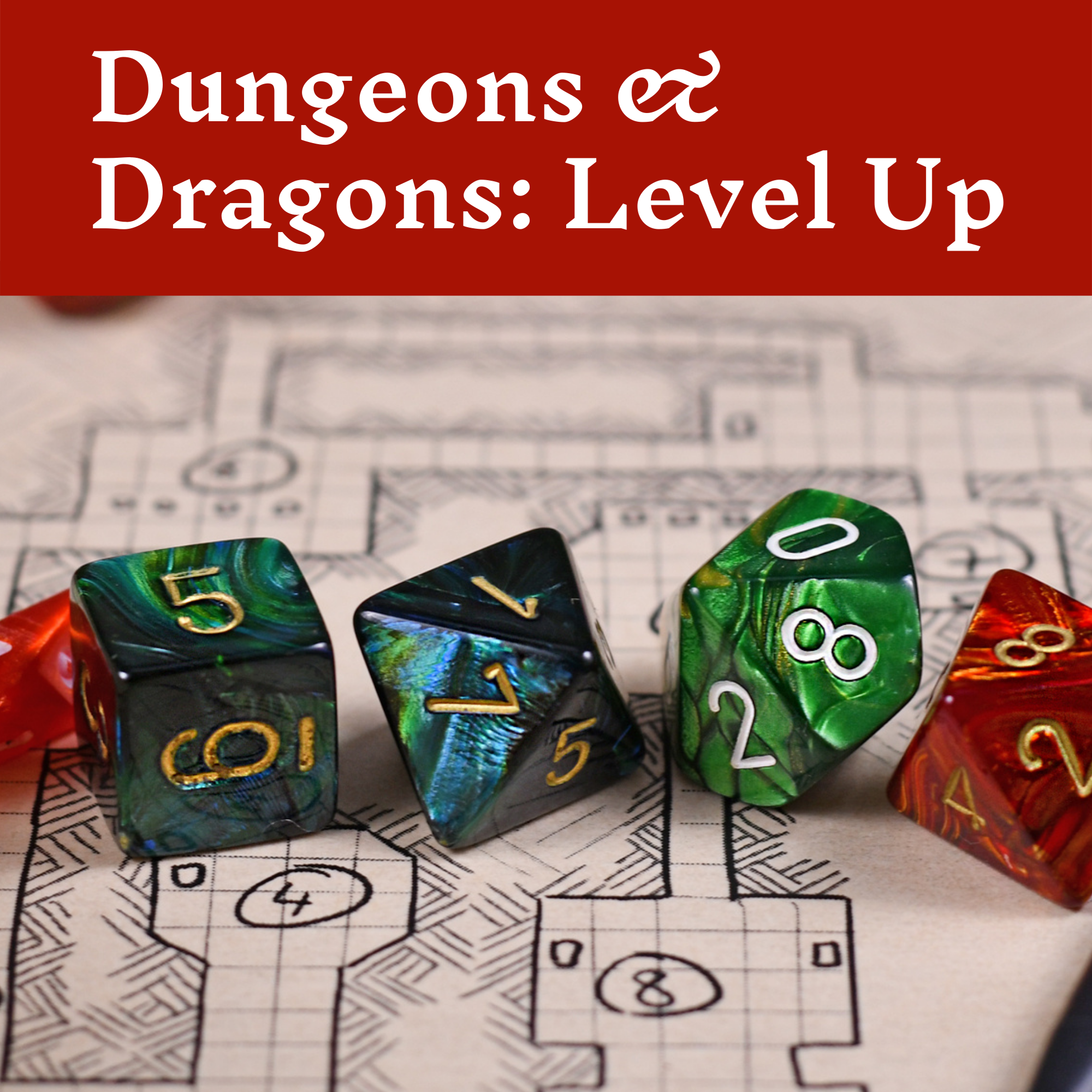 Dungeons & Dragons: Level Up