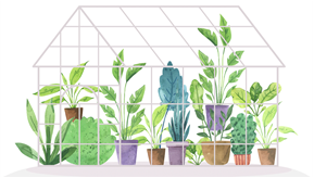 watercolor inspired greenhouse with plants