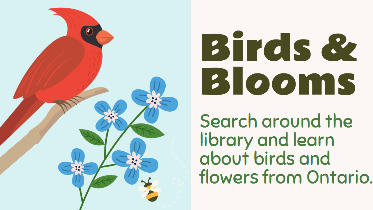 birds and blooms