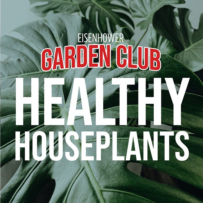 Healthy Houseplants: Garden Club
