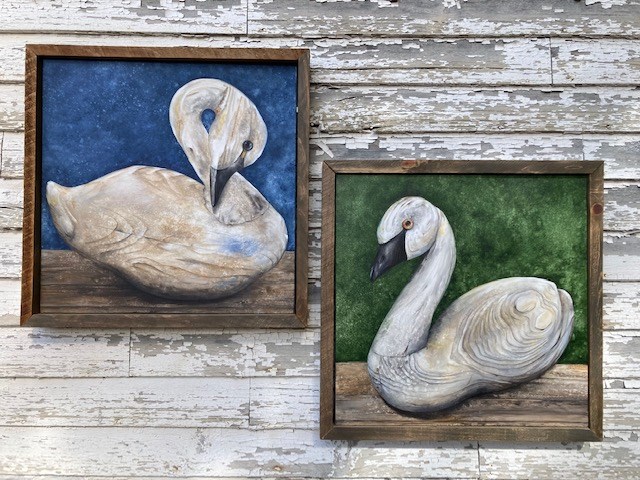 Swan paintings by November artist Nicole Ellis