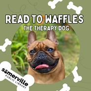 A picture of a french bulldog with his tongue sticking out, with the title "Read to Waffles the Therapy Dog" on top.