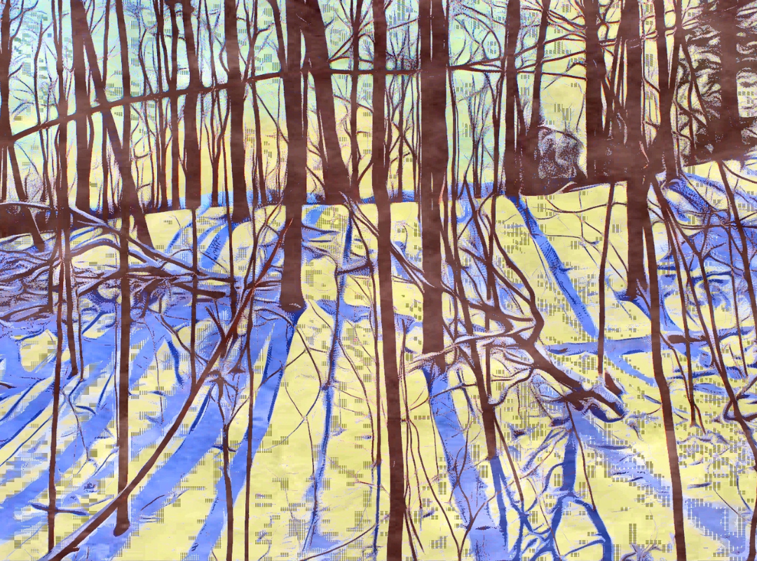 Image depicting sunlight falling between trees and onto the snowy ground. The snow is illuminated in a yellow glow, with the shadows casting an icy blue.