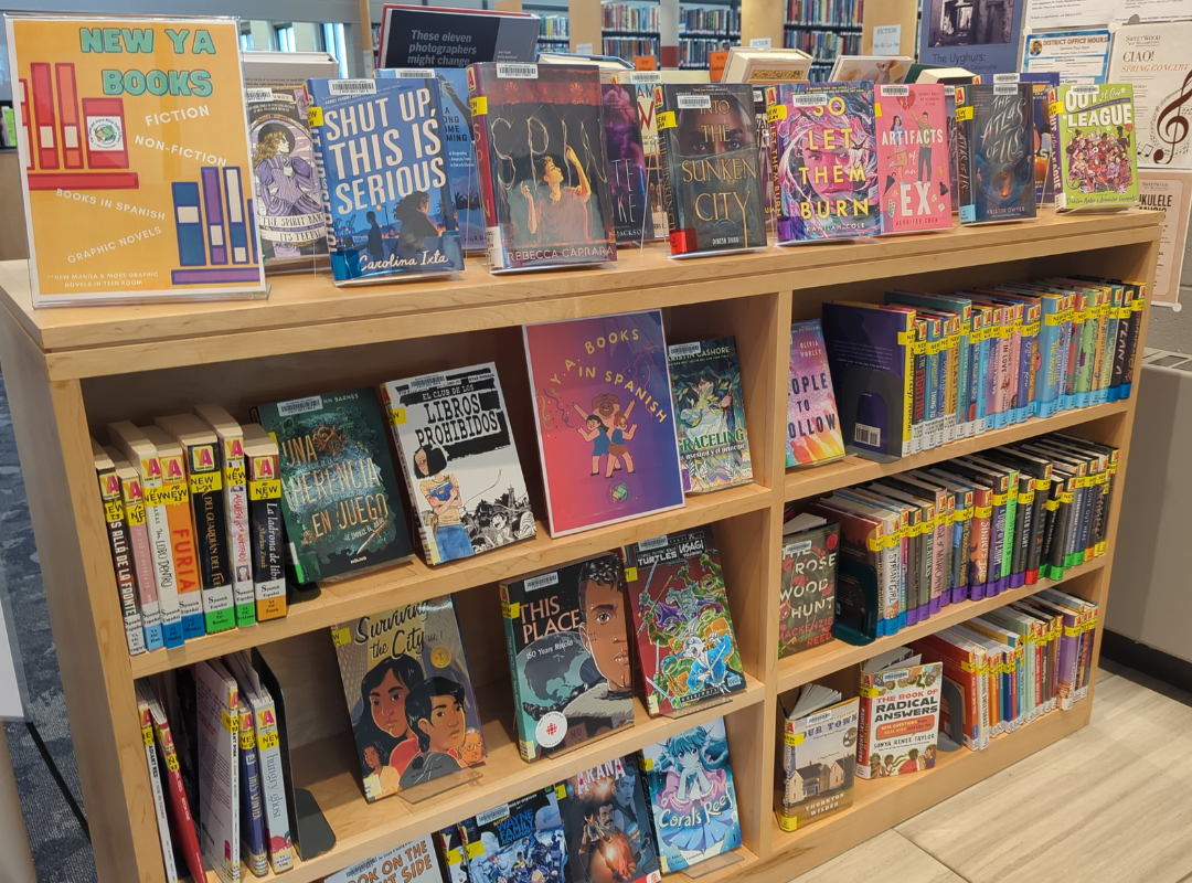 A photograph of the library's section for new Young Adult materials, located near the entrance. 