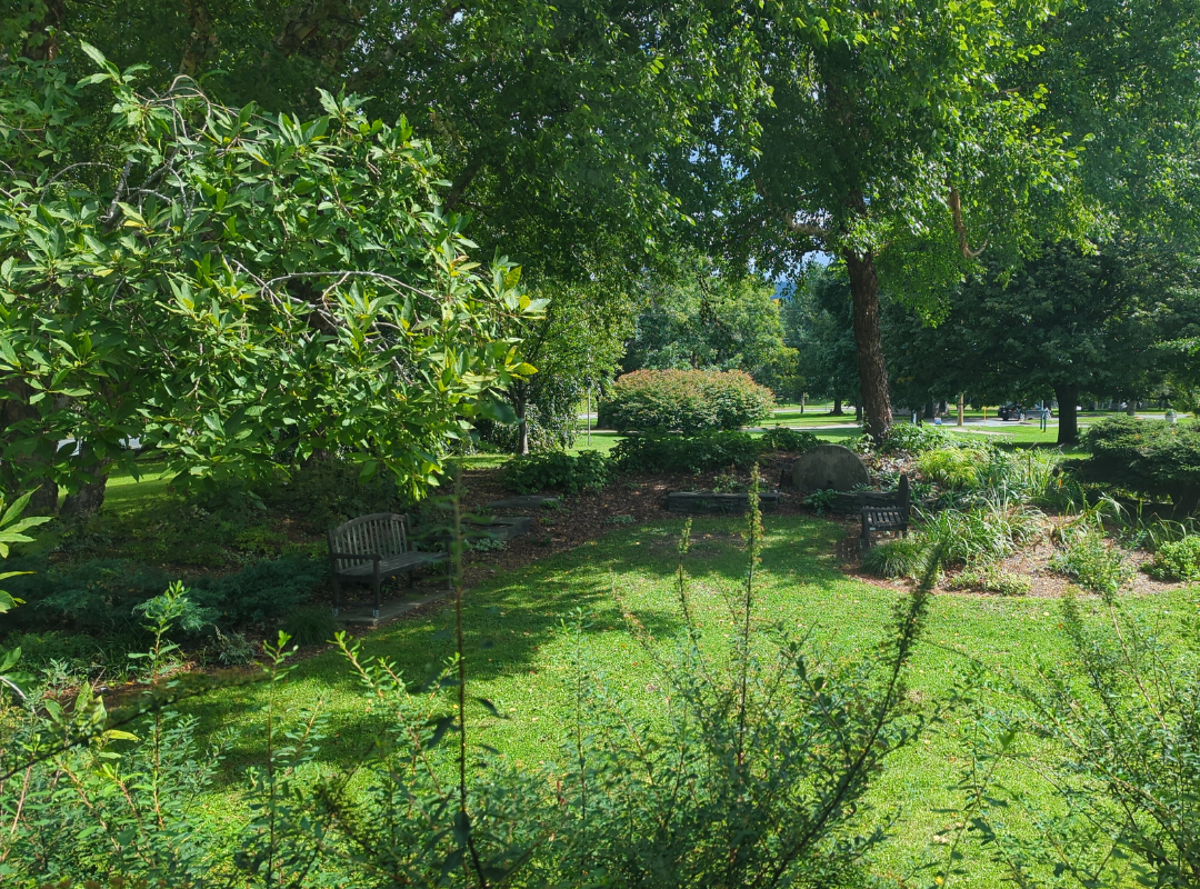 A photograph of the library's reading garden, showing two benches beneath the comfortable shade of trees