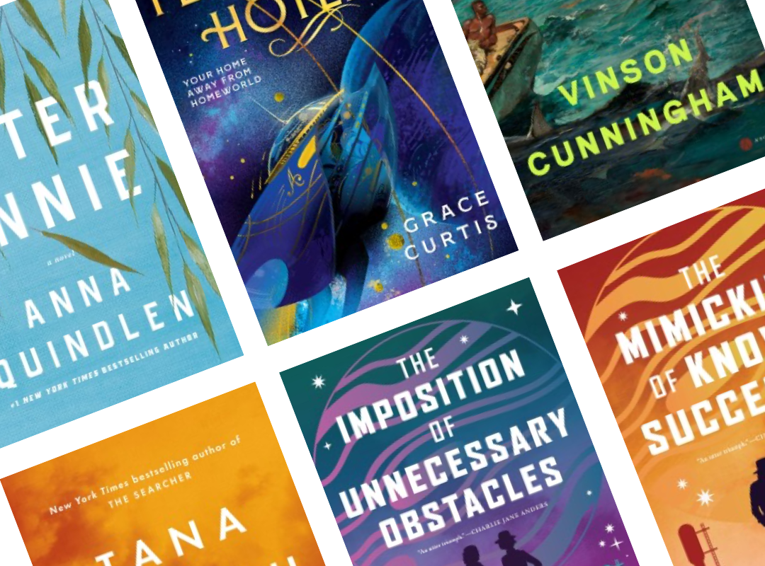 Collage of book covers featured in this month's Staff Picks newsletter