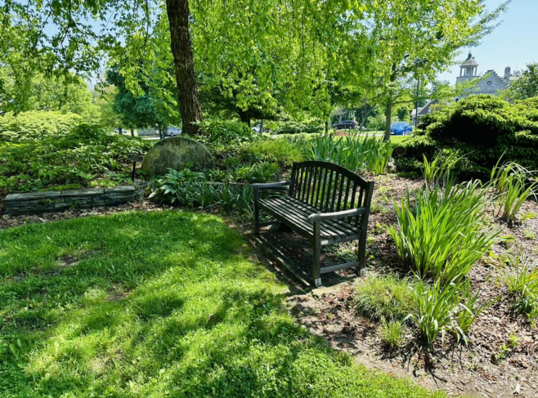 Photograph of the library's Reading Garden. A bench stands along a grassy lawn, surrounded by greenery.