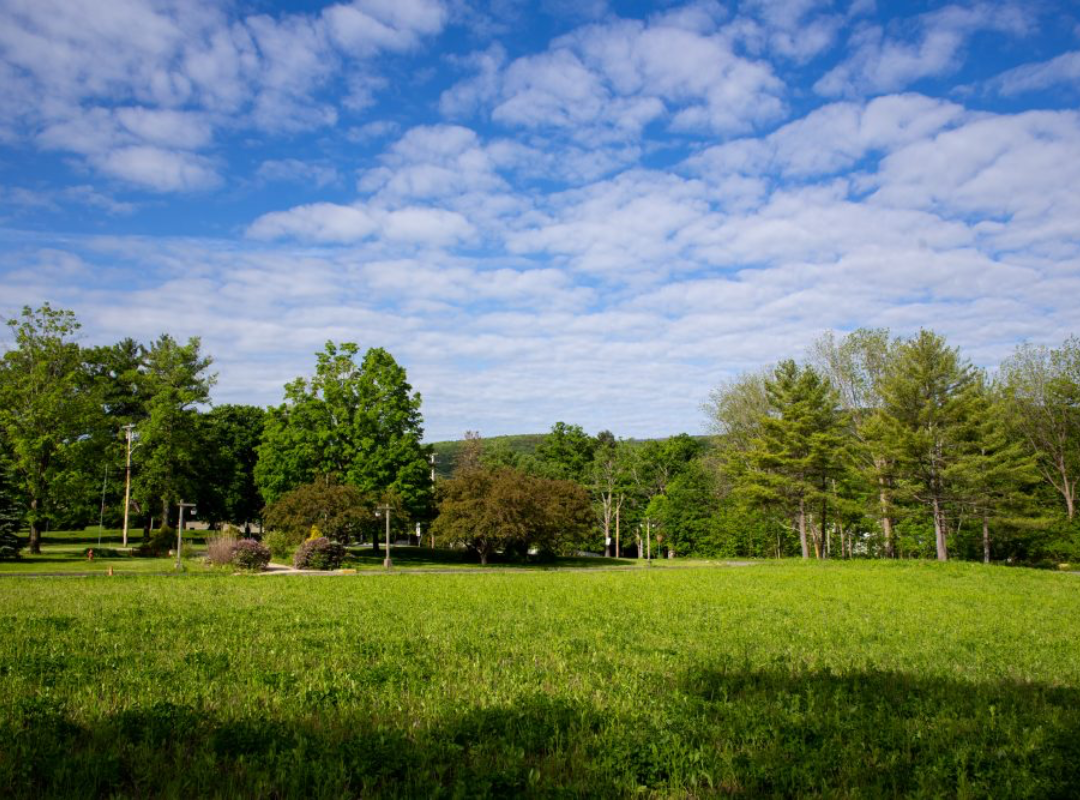 The site of the planned new Williams College Museum of Art sits at the intersection of Routes 7 and 2 in the heart of Williamstown. Blue sky and sunshine illuminate a grassy expanse edged with green trees.