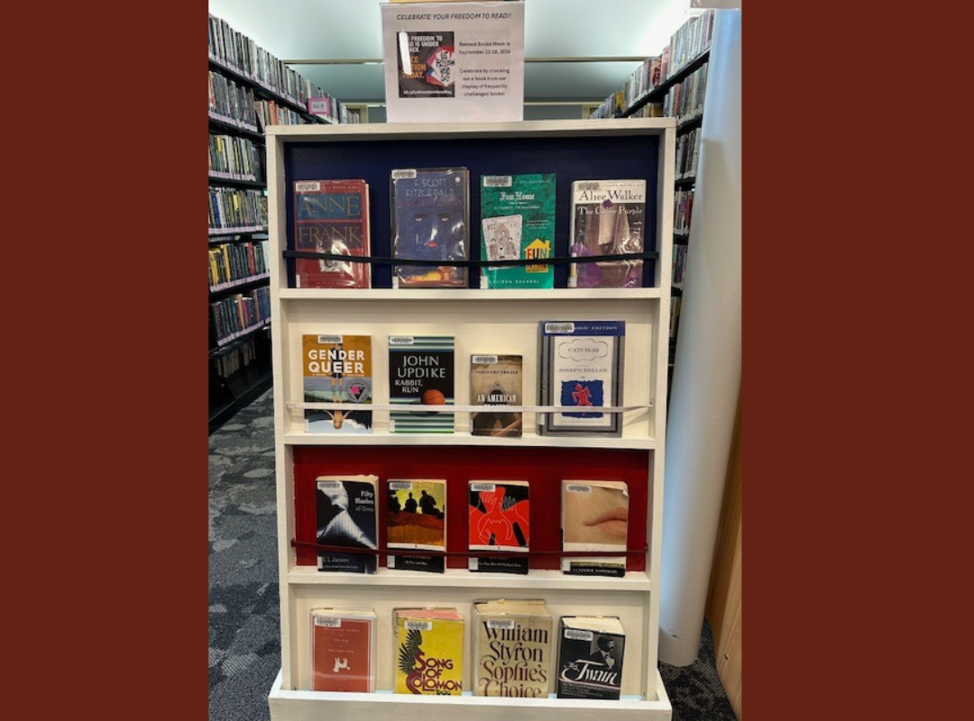 Photograph of banned books display