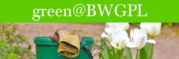A close-up photo of some white tulips, and a pair of gardening gloves draped over a pail, with the words green@BWGPL over the photo