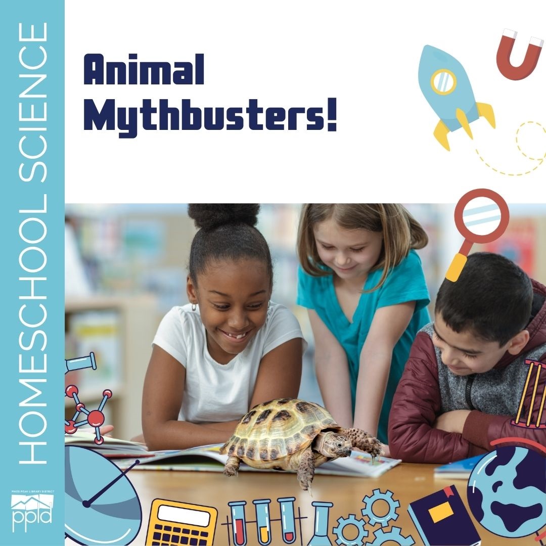 The title, "Homeschool Science: Animal Mythbusters," is accompanied by a photo of three children looking at a turtle.