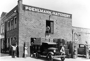 Poehlmann Hatchery