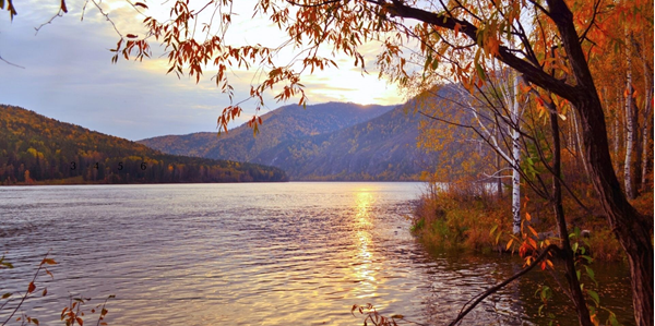 Beautiful view of the lake and trees with autumn leaves.