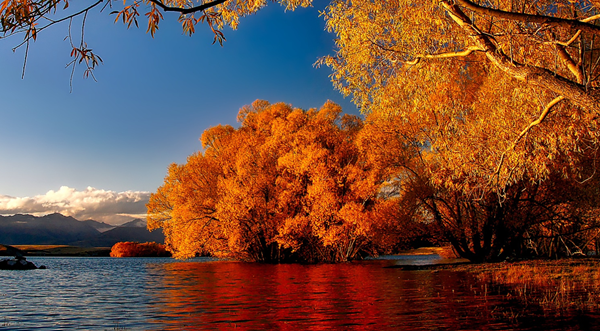 A beautiful view of the lake and different colored trees with autumn leaves.